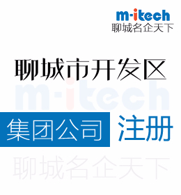 聊城經(jīng)濟(jì)技術(shù)開(kāi)發(fā)區(qū)代辦公司集團(tuán)注冊(cè)營(yíng)業(yè)執(zhí)照辦理