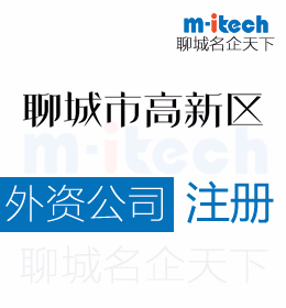 聊城高新區(qū)代辦外資公司注冊(cè)營業(yè)執(zhí)照