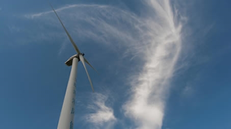 商標(biāo)法規(guī)定了聊城市哪些標(biāo)志不能作為商標(biāo)注冊(cè)